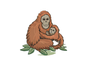 Protecting Orangutan Habitat