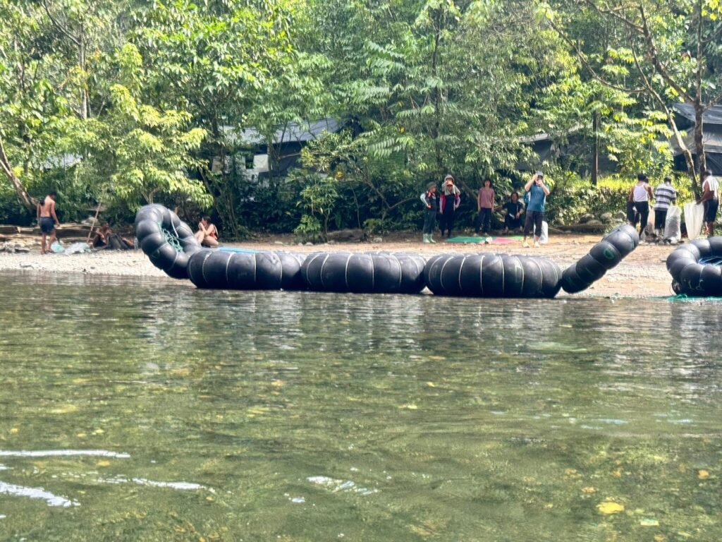 Orangutan Explore Sumatra ethical jungle trekking experience