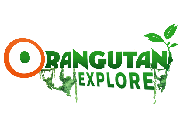 orangutan explore x copy