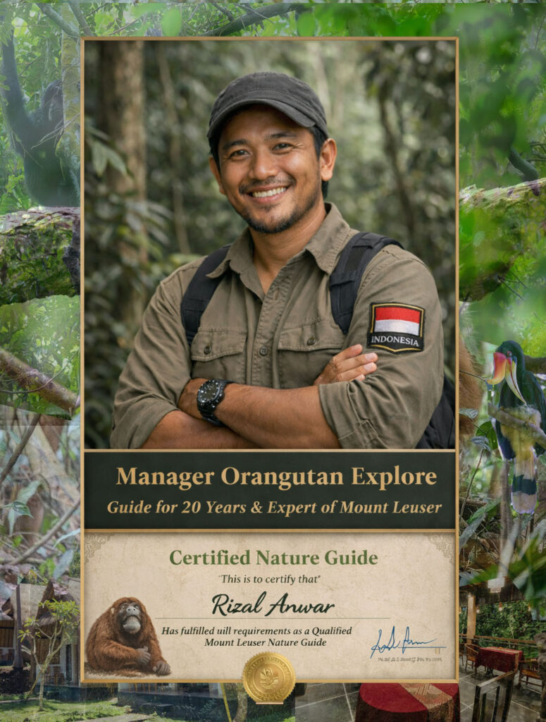 Orangutan Explore Sumatra | Ethical Orangutan Trekking in Bukit Lawang