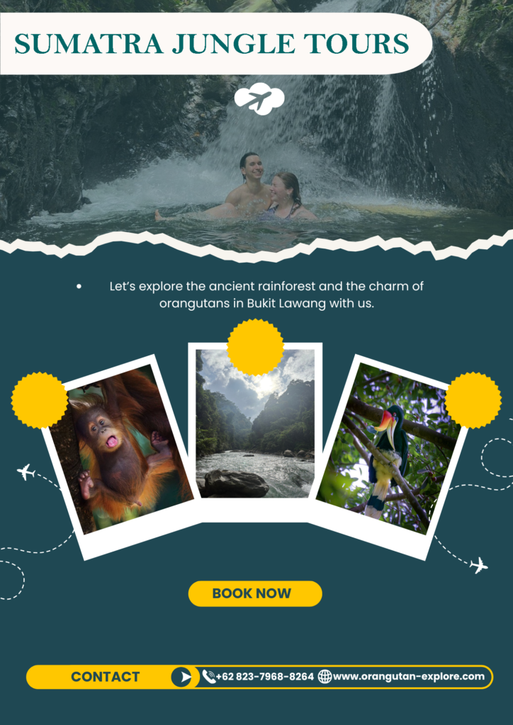 sumatra-jungle-tours-bukit-lawang