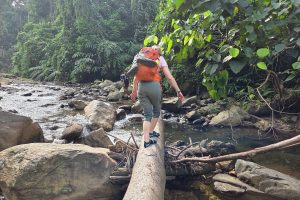 Orangutan Explore Sumatra ethical jungle trekking experience