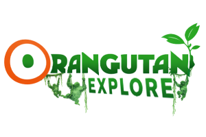 orangutan explore x copy